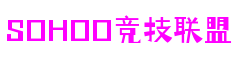 山东省青岛市sohoo竞技联盟品牌互动有限公司